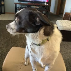 Meet your Posher, Nancy